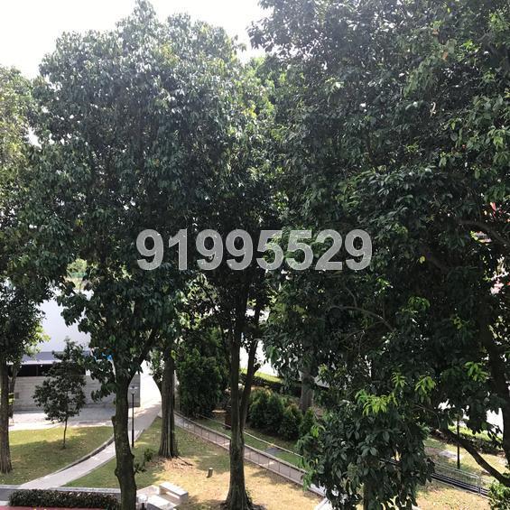 Blk 605 Clementi West Street 1 (Clementi), HDB 5 Rooms #151243742